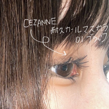 耐久カールマスカラ/CEZANNE/マスカラを使ったクチコミ(2枚目)