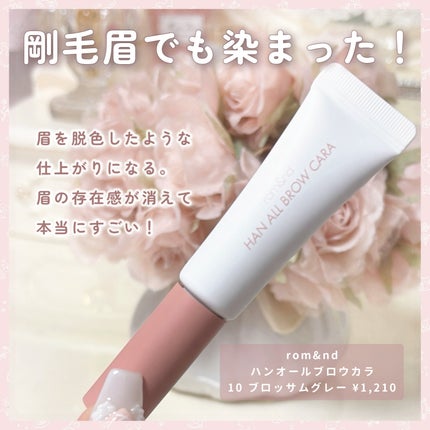 ハンオールブロウカラ/rom&nd/眉マスカラを使ったクチコミ(2枚目)