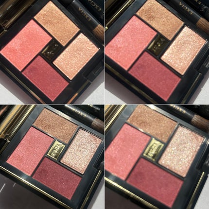 エクシア アイカラー ヴォロンテ/ALBION/アイシャドウパレットを使ったクチコミ(6枚目)