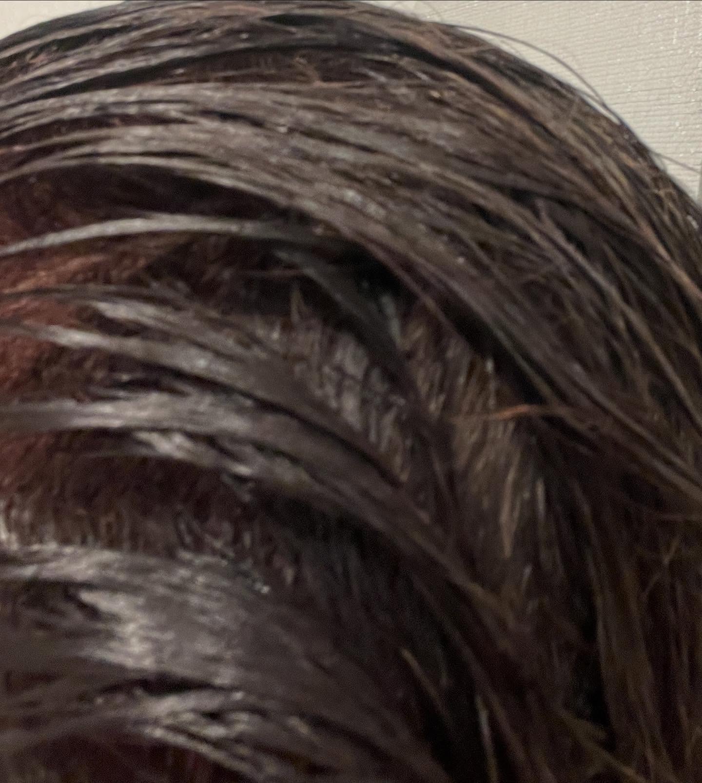 プリマローズ ディープカラートリートメント プロ/プリマローズ/ヘアカラーを使ったクチコミ（3枚目）