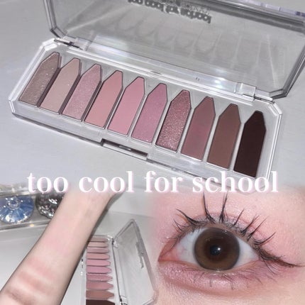 プロタージュアイパレット/too cool for school/アイシャドウパレットを使ったクチコミ(1枚目)