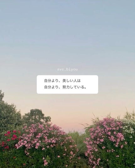 アビ|お金をかけない美容♡ on LIPS 「「いいね♡」押してくれてありがとうございます♡いつも、とーって..」(10枚目)