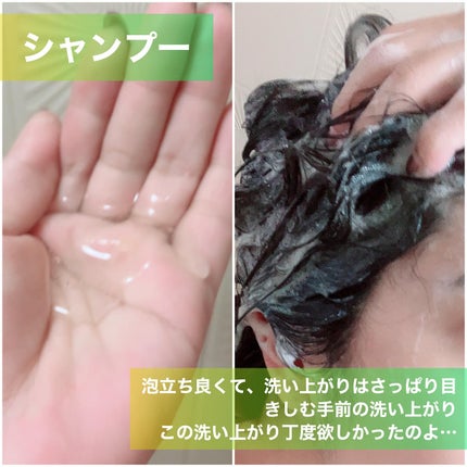 ã¢ã€ã¹ãããŒã¹ãã·ã£ã³ããŒïŒã¢ã€ã¹ãããŒã¹ãããªãŒãã¡ã³ã/MEMEME/åžè²©ã·ã£ã³ããŒã䜿ã£ãã¯ãã³ãïŒ4æç®ïŒ