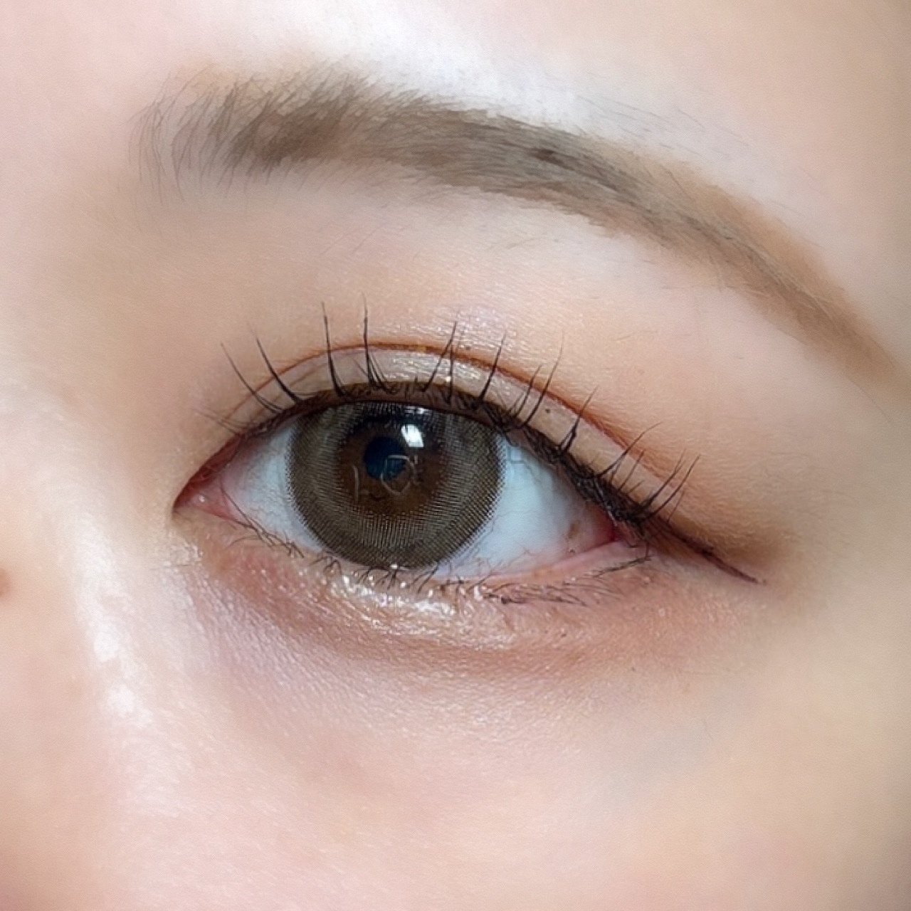 トリコニナル ワンデー/トリコニナル/ワンデー（１DAY）カラコンを使ったクチコミ（3枚目）