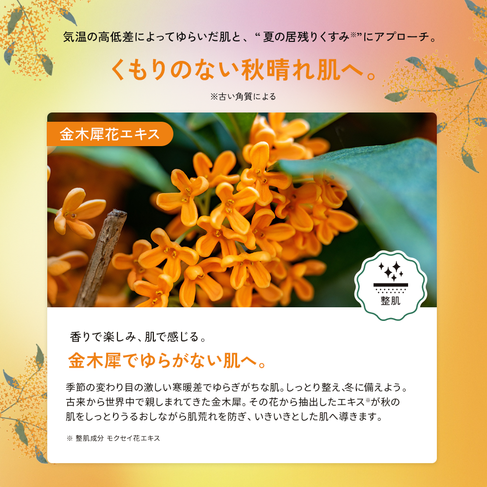 プレミアムルルルン 金木犀（キンモクセイの香り）/ルルルン/シートマスク・パックを使ったクチコミ（3枚目）