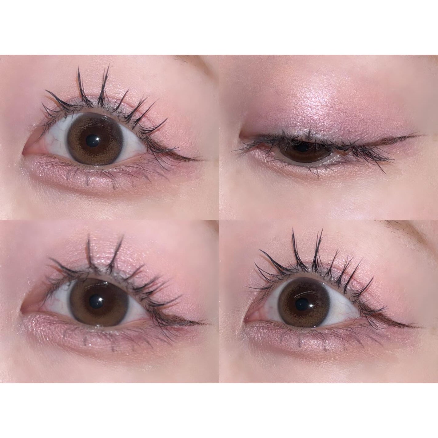 プロタージュアイパレット/too cool for school/アイシャドウパレットを使ったクチコミ(5枚目)