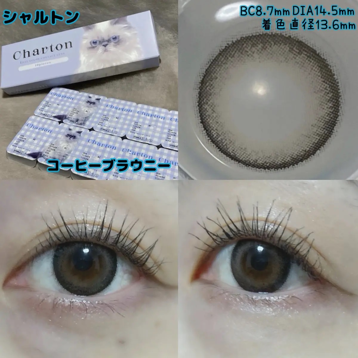 Charton 1day コーヒーブラウニー/Charton/ワンデー（１DAY）カラコンを使ったクチコミ（1枚目）