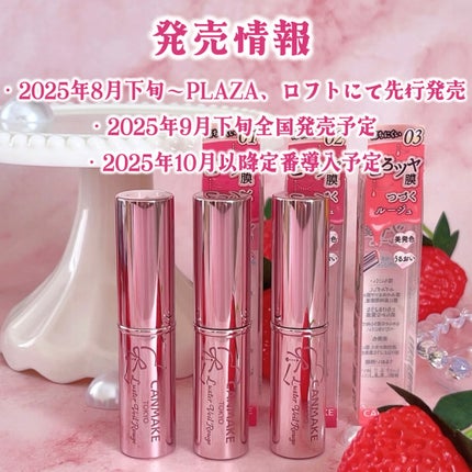 ラスターヴェールルージュ/キャンメイク/口紅を使ったクチコミ(7枚目)