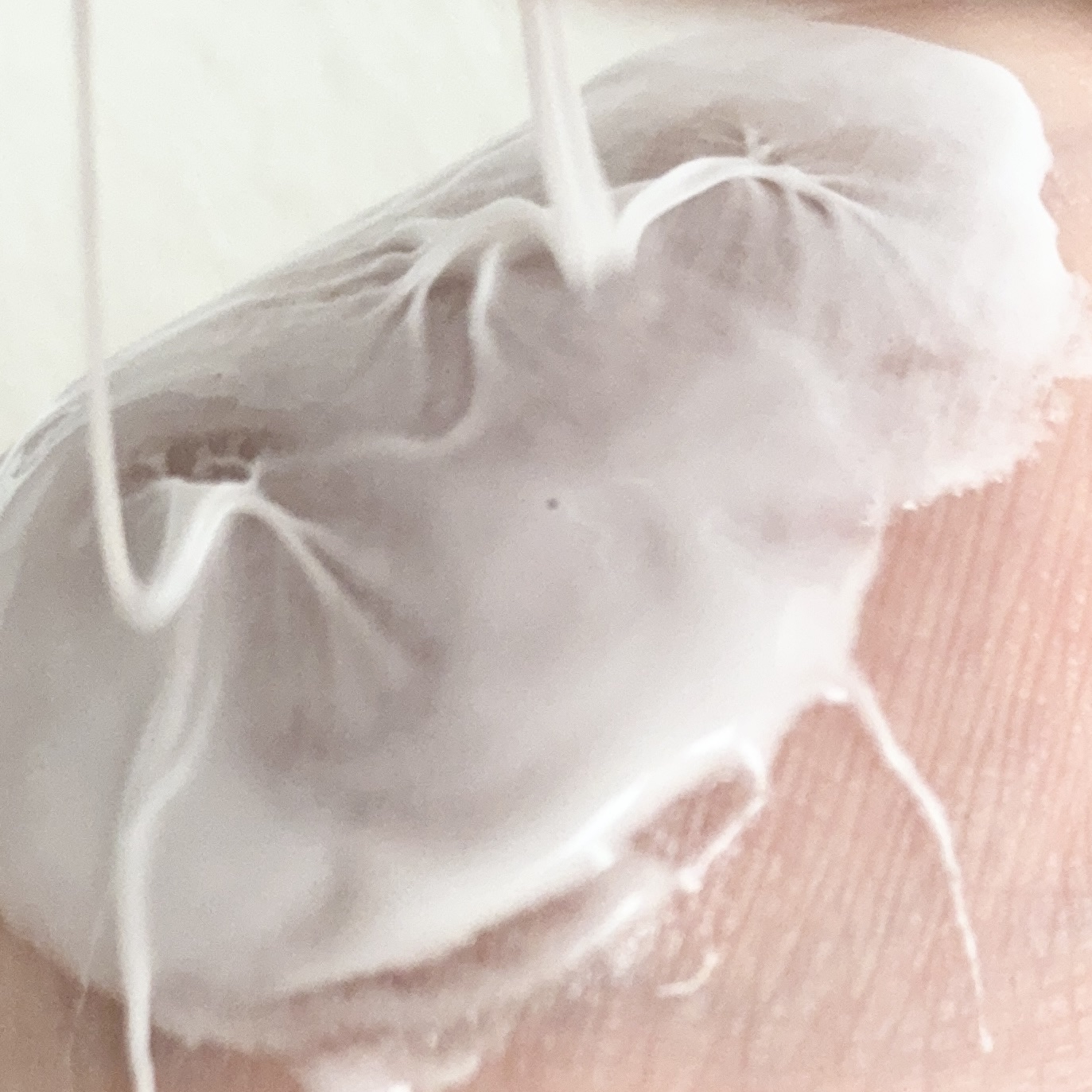 ディズム　クリームウォッシュ/DISM/洗顔フォームを使ったクチコミ（2枚目）