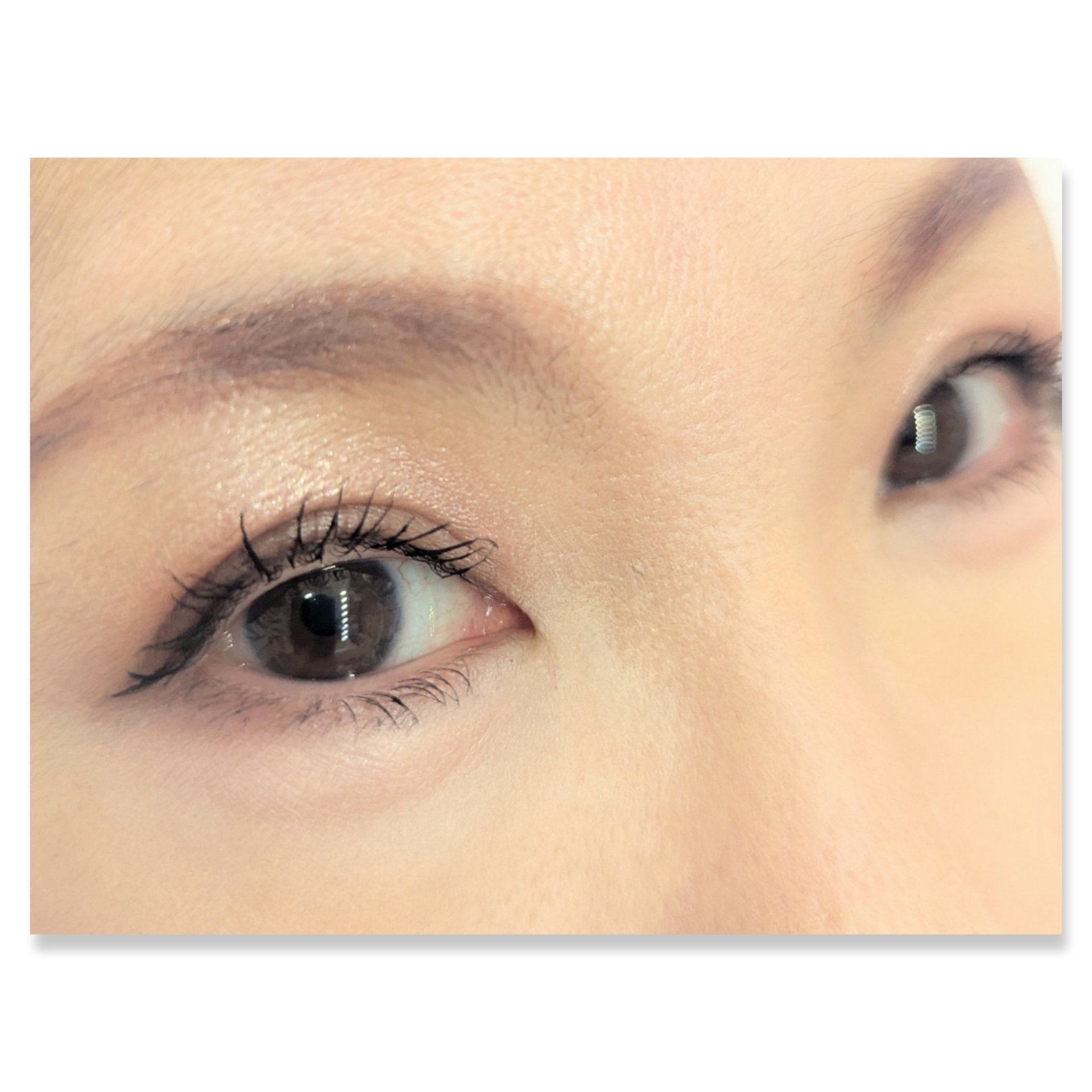 ワンダー スウィート アイシャドウ/リンメル ロンドン/アイシャドウパレットを使ったクチコミ（2枚目）