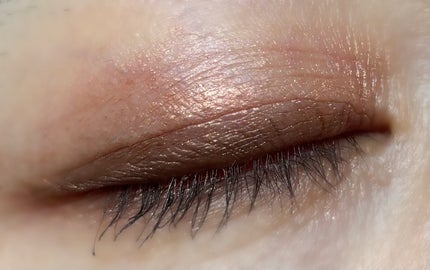 シェイク ユア パーム パームズ ミニ アイシャドウ パレット/Too Faced/アイシャドウパレットを使ったクチコミ(4枚目)