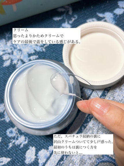 シラカバ水分ブースティングクリーム/Anua/フェイスクリームを使ったクチコミ(4枚目)