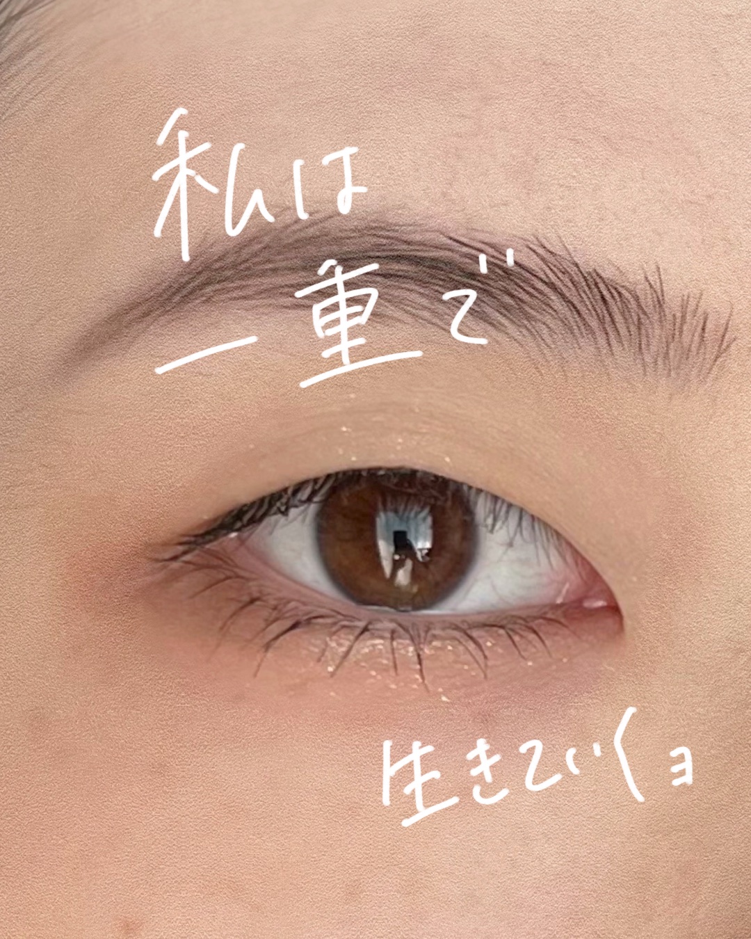 パーフェクトマルチアイズ/キャンメイク/アイシャドウパレットを使ったクチコミ（1枚目）