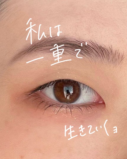 パーフェクトマルチアイズ/キャンメイク/アイシャドウパレットを使ったクチコミ(1枚目)