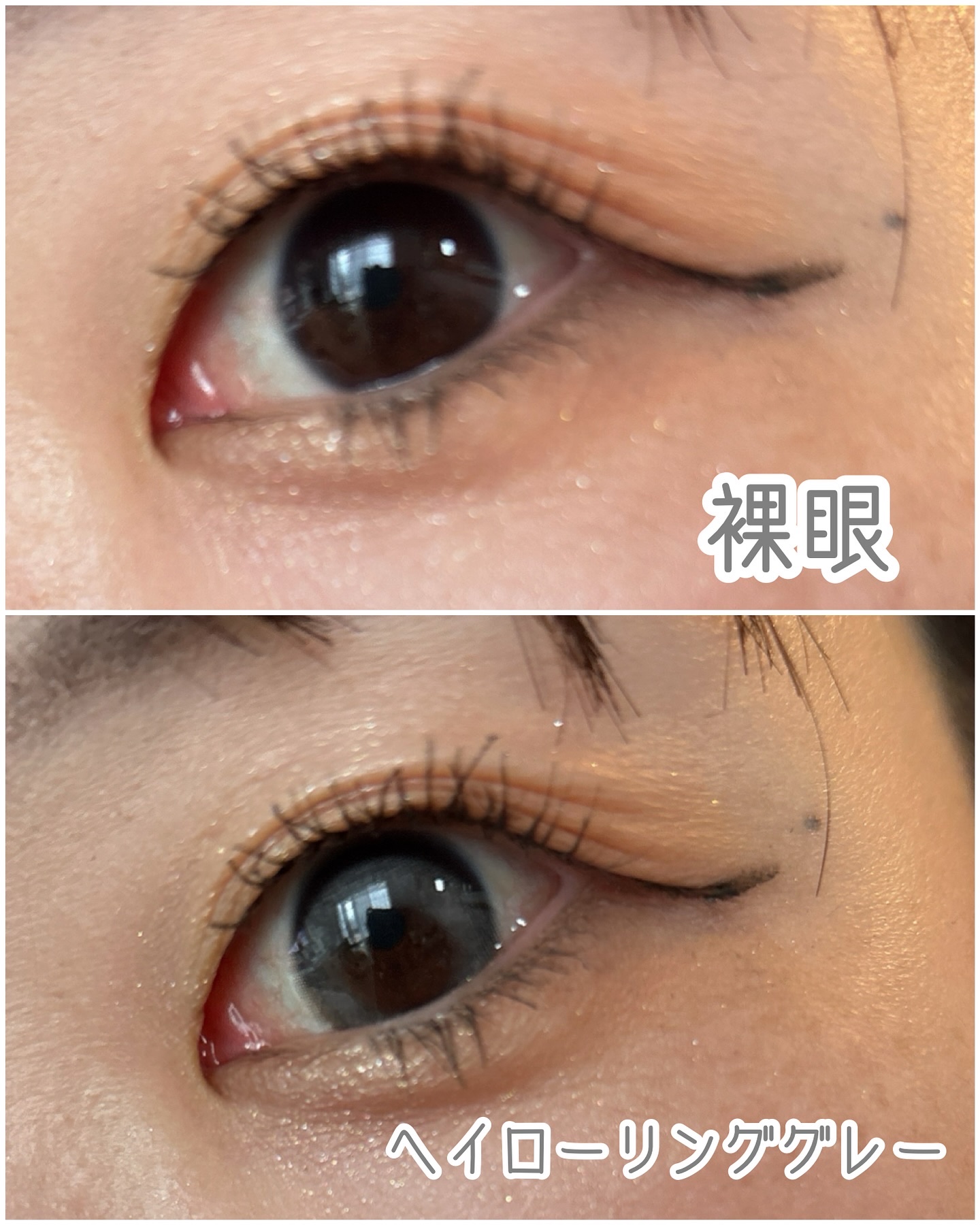 GROVI 1day ヘイローリンググレー/GROVI/ワンデー（１DAY）カラコンを使ったクチコミ（3枚目）