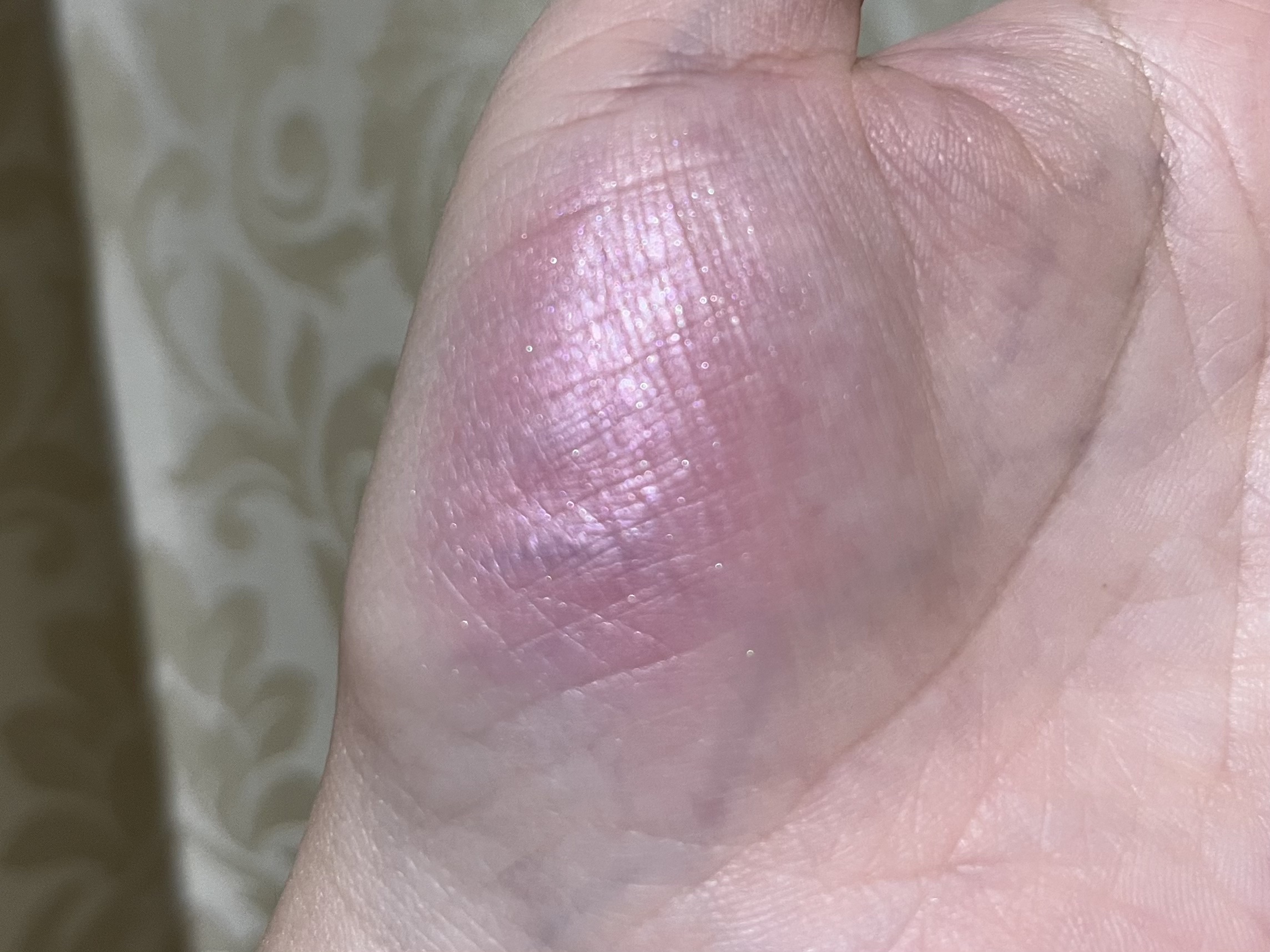 パウダーチークス/キャンメイク/パウダーチークを使ったクチコミ（3枚目）