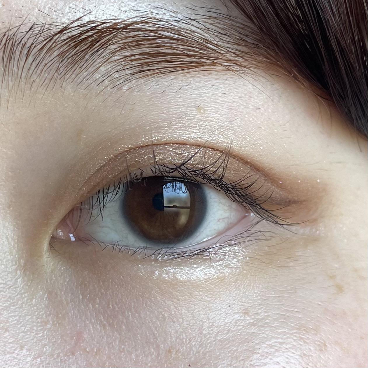 スキンシャドウ デザイニング パレット/DECORTÉ/アイシャドウパレットを使ったクチコミ（3枚目）