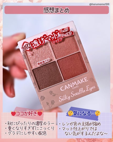 シルキースフレアイズ(マットタイプ)/キャンメイク/アイシャドウパレットを使ったクチコミ(6枚目)