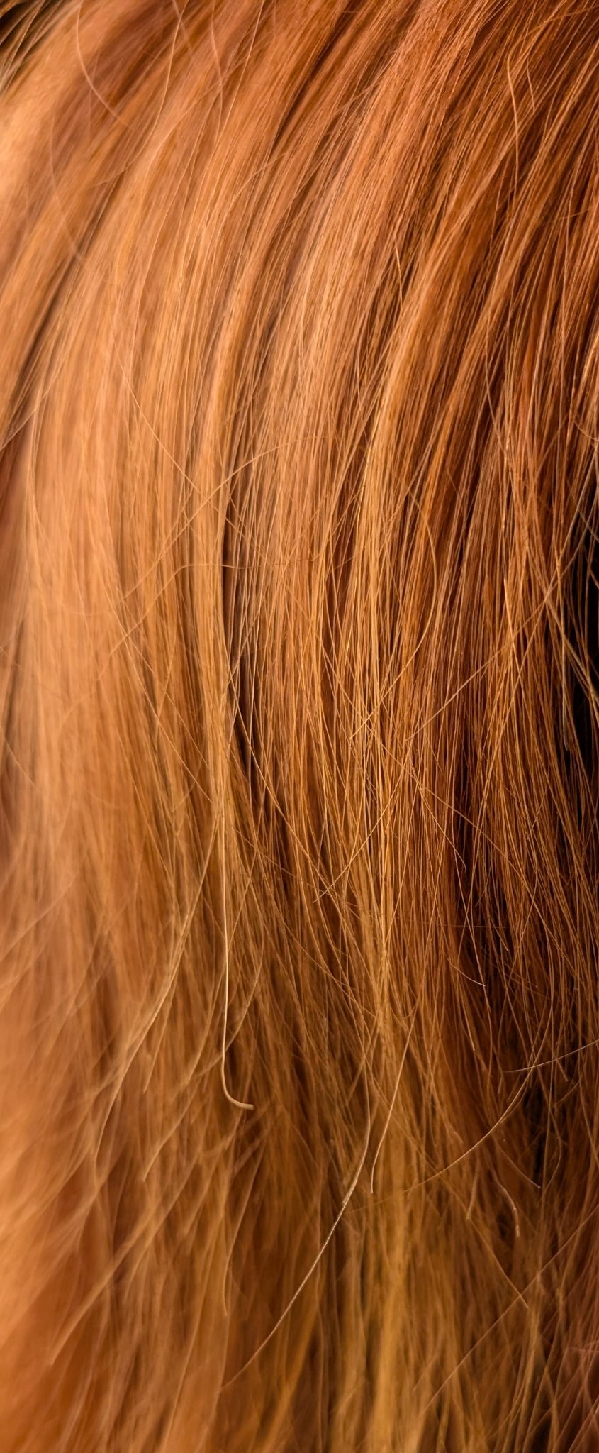 メイクアップカラー ホワイティラベンダー/ビューティーン/ヘアカラーを使ったクチコミ（2枚目）