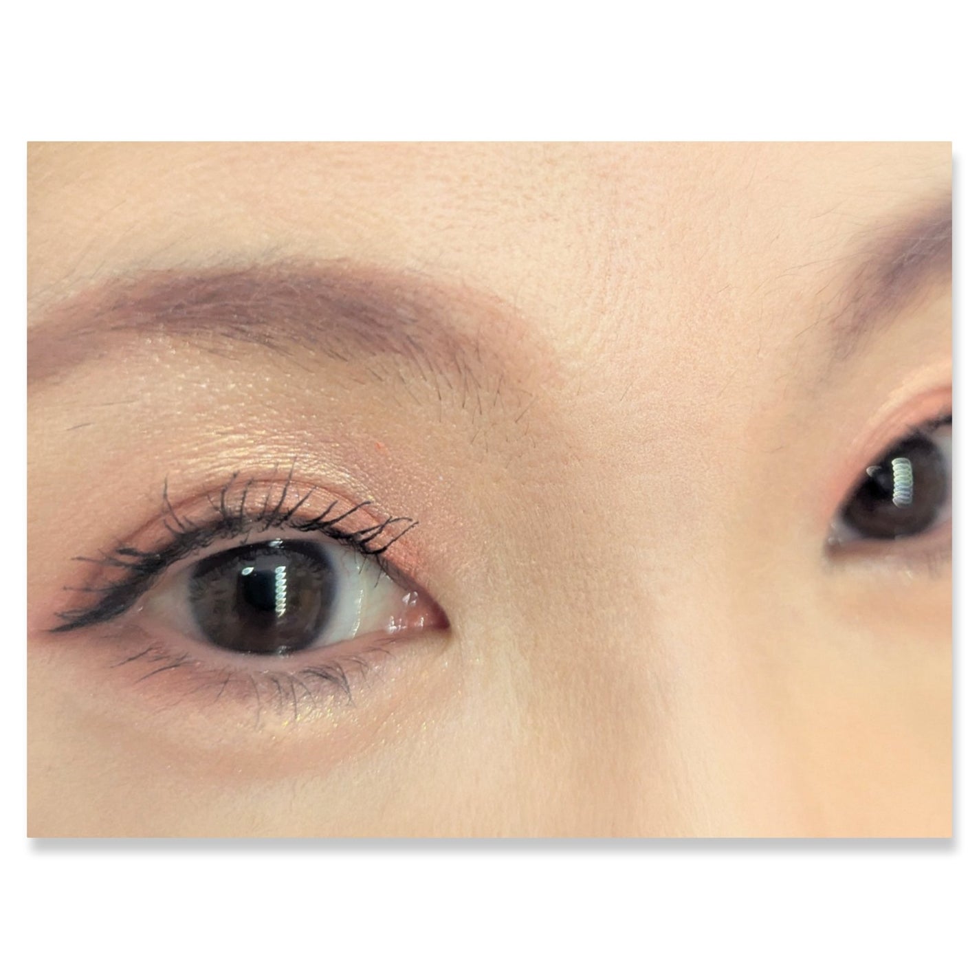 HUAMAO/SHOBIDO/アイシャドウパレットを使ったクチコミ(2枚目)