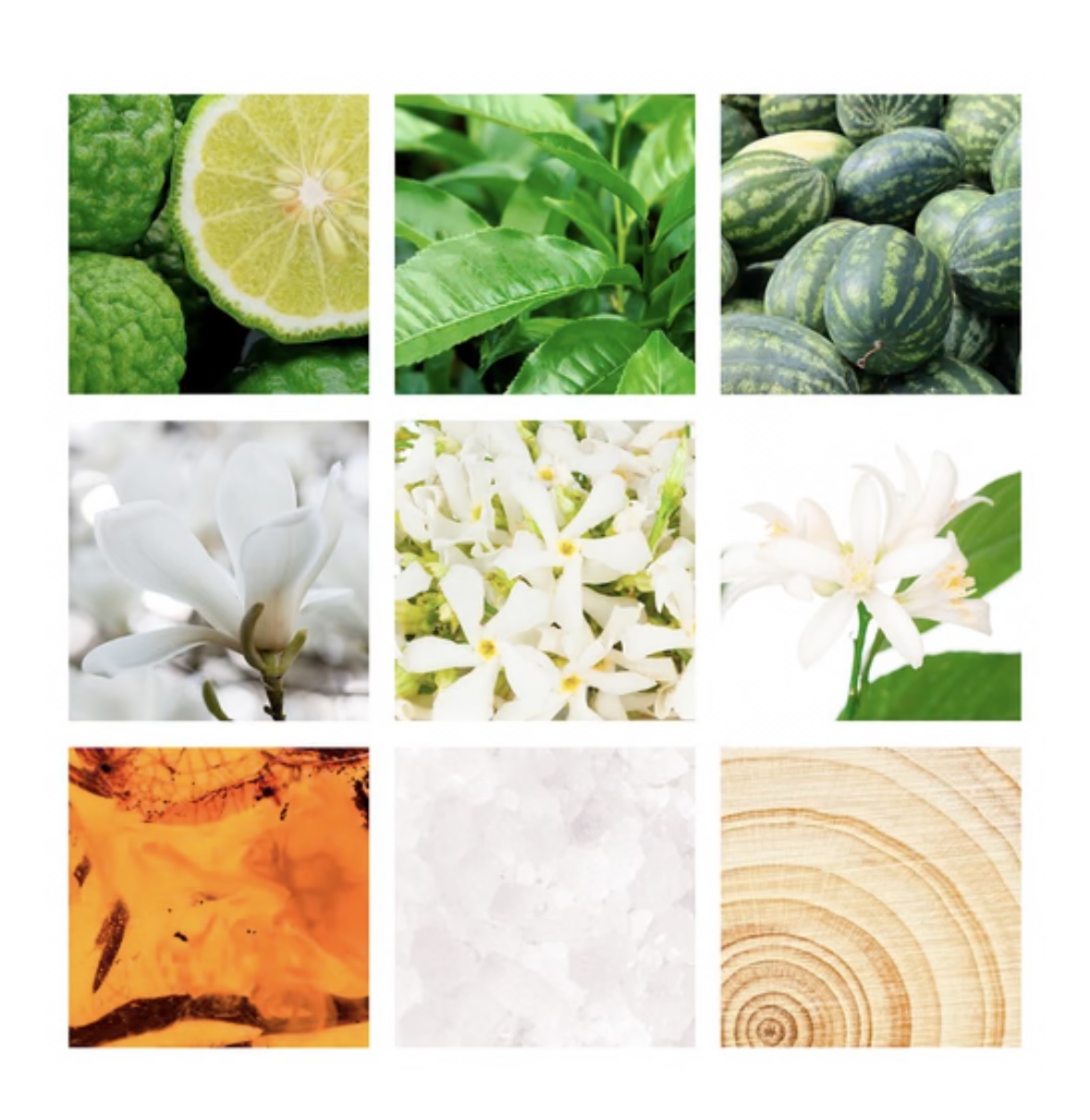 レ フルール ド ランバン スィートジャスミン オードトワレ/LANVIN/香水(レディース)を使ったクチコミ（2枚目）