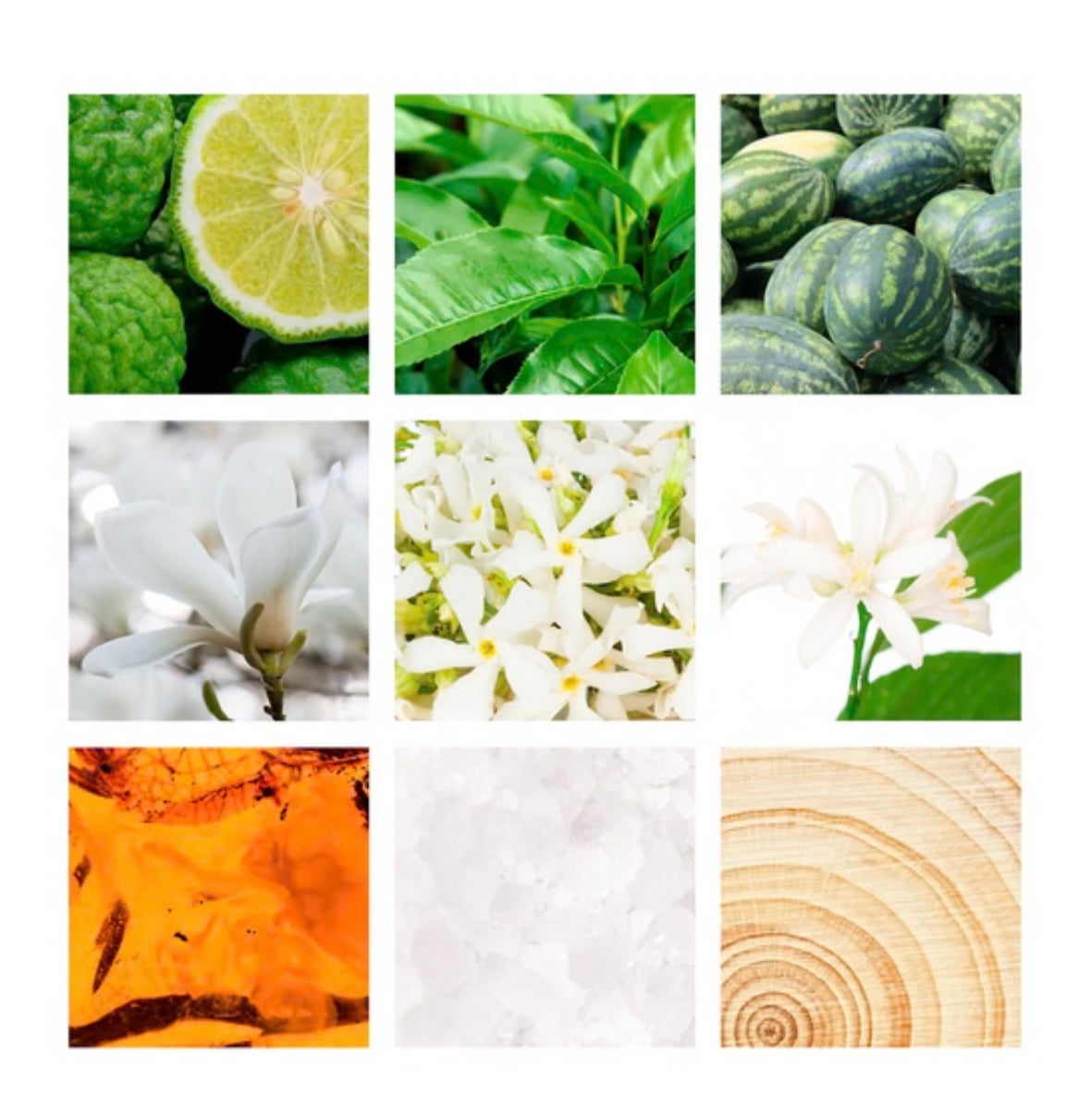 レ フルール ド ランバン スィートジャスミン オードトワレ/LANVIN/香水(レディース)を使ったクチコミ(2枚目)