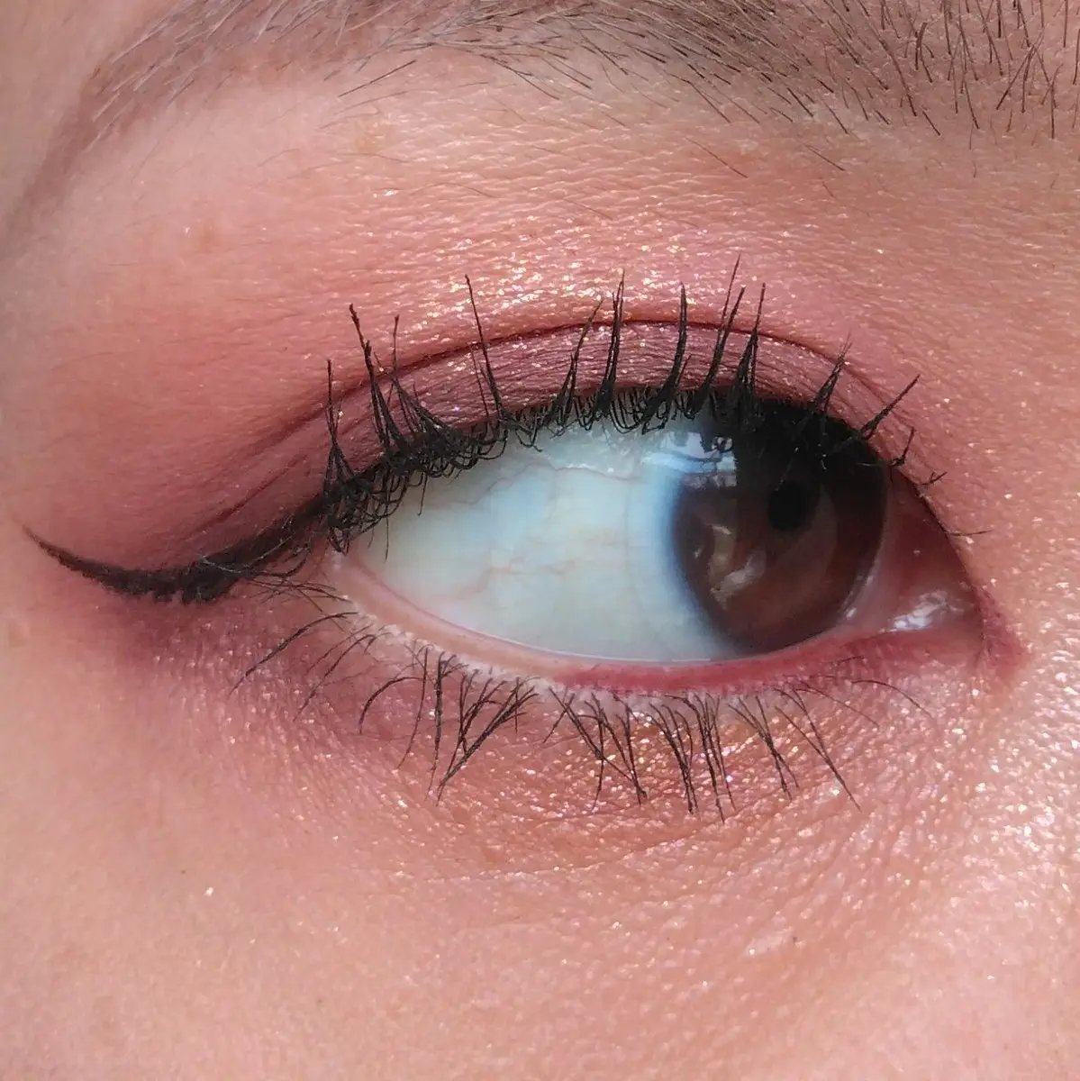 MOTHERSHIP PALETTES/PAT McGRATH LABS/アイシャドウパレットを使ったクチコミ（3枚目）