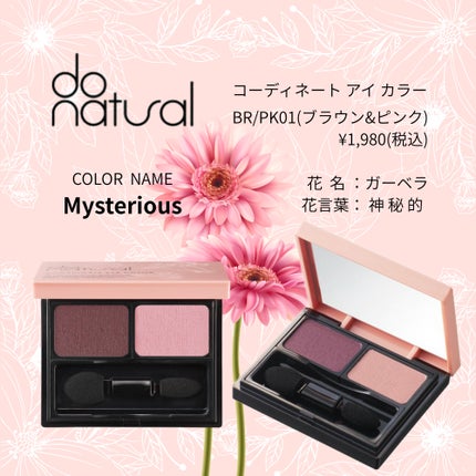 コーディネート アイ カラー/do natural/アイシャドウパレットを使ったクチコミ(1枚目)