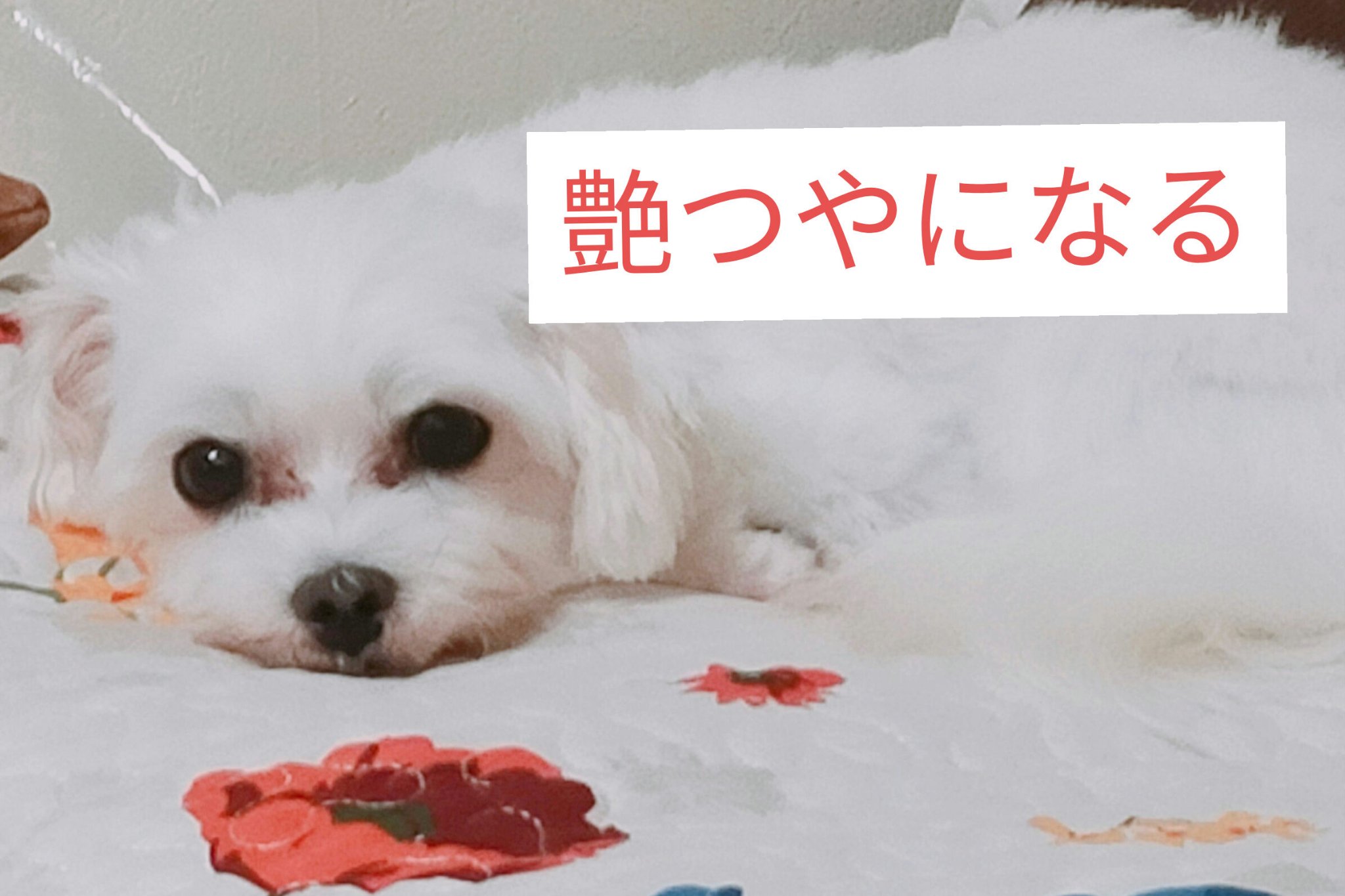 REJURAN デュアル エフェクト アンプル 30mL/REJURAN COSMETICS/美容液を使ったクチコミ（3枚目）