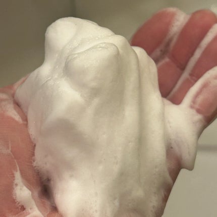 クレンジングリサーチ ウォッシュクレンジング N/クレンジングリサーチ/洗顔フォームを使ったクチコミ(5枚目)