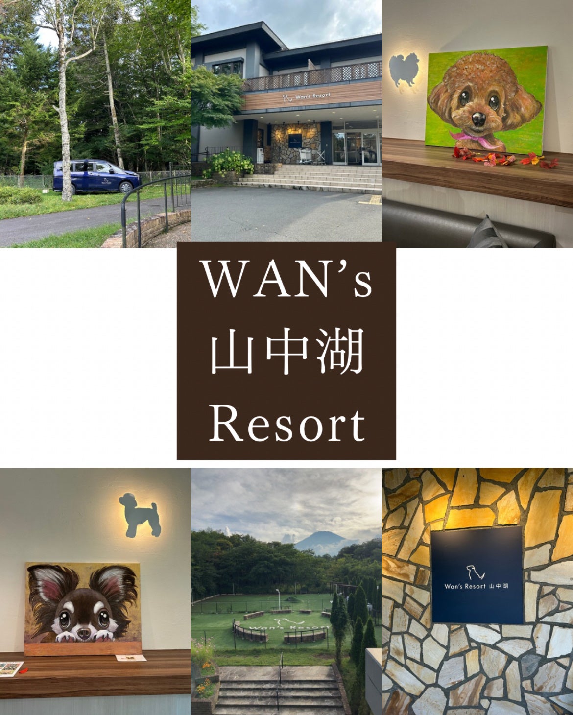 アロマエッセゴールド シャンプー/コンディショナー/aroma ess./市販シャンプーを使ったクチコミ(3枚目)