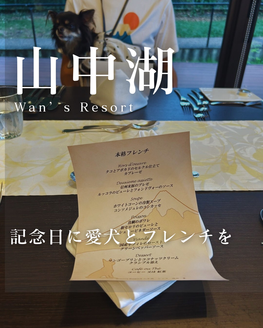 アロマエッセゴールド シャンプー/コンディショナー/aroma ess./市販シャンプーを使ったクチコミ(4枚目)