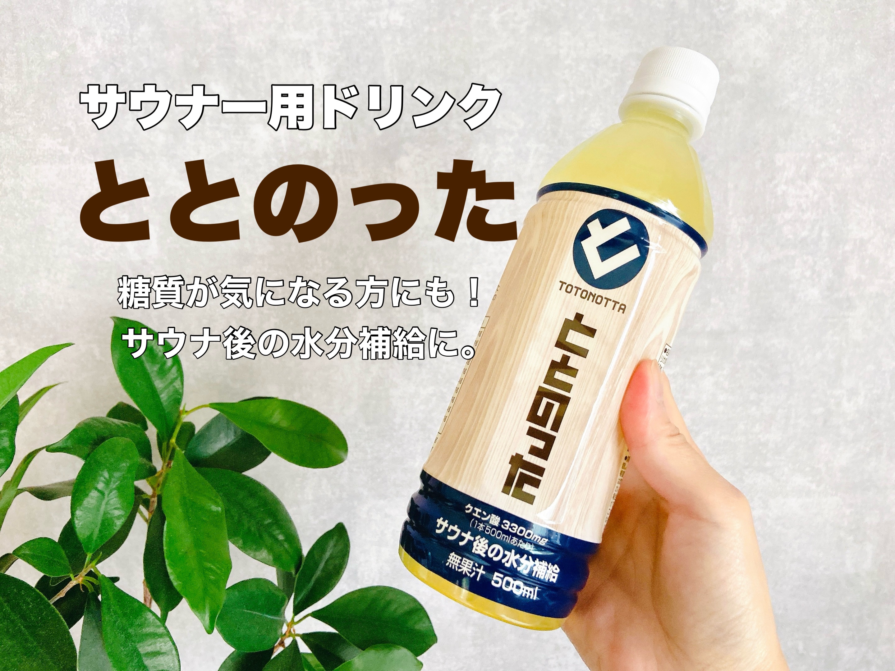 ととのった/ナショナルトータルビバレッジ/その他ドリンクを使ったクチコミ（1枚目）