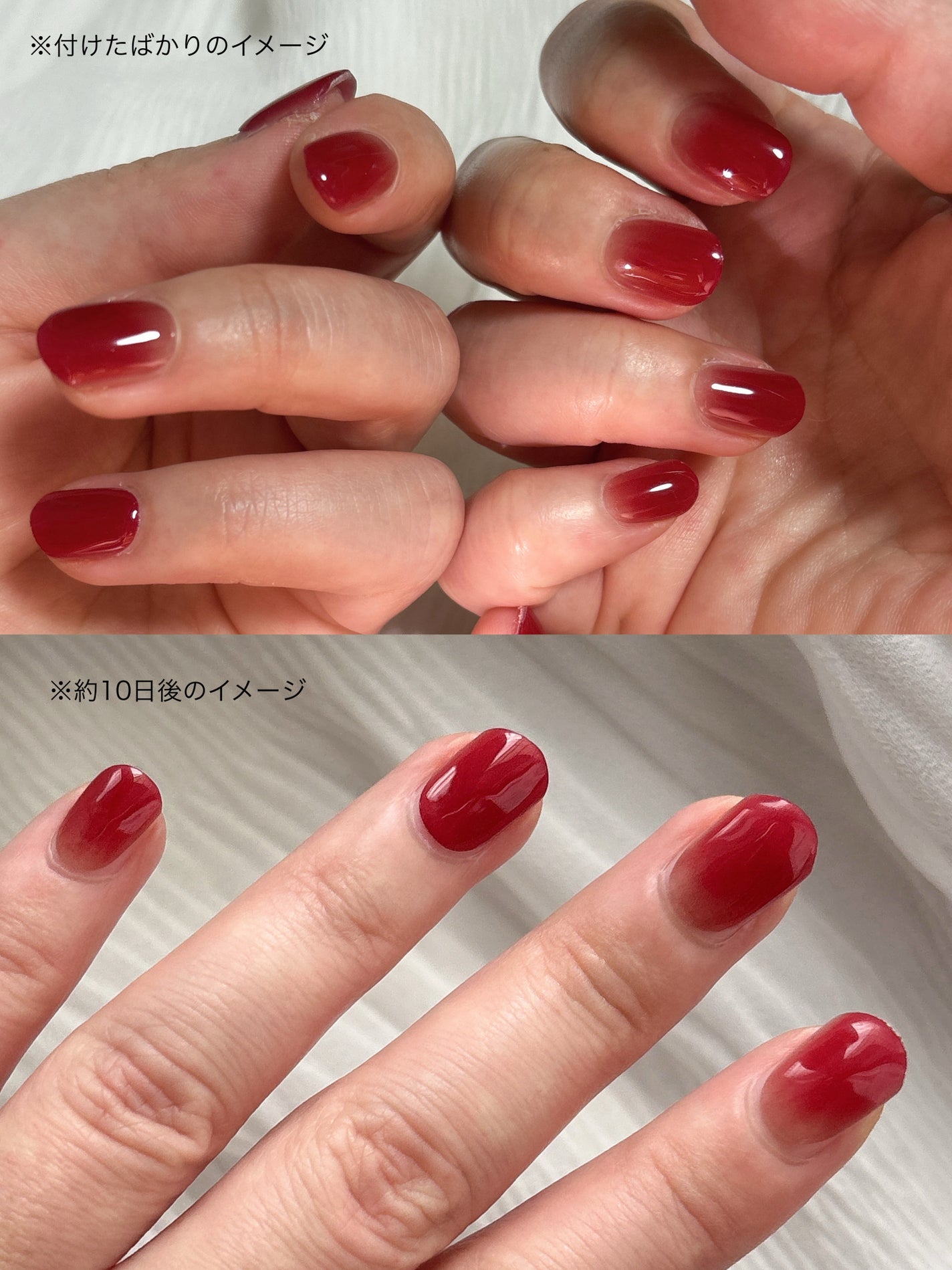 セミキュアジェルネイル(ハンド)/ohora/ネイルシールを使ったクチコミ(3枚目)