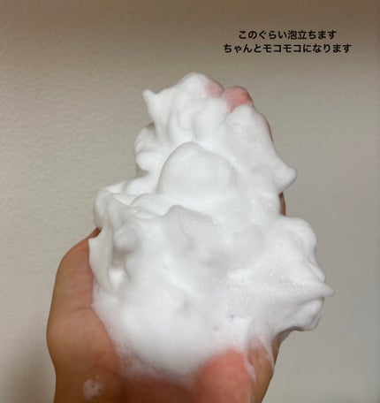 マイクロフォーム クレンザー(夜用洗顔)/LAGOM /クレンジングクリームを使ったクチコミ(3枚目)