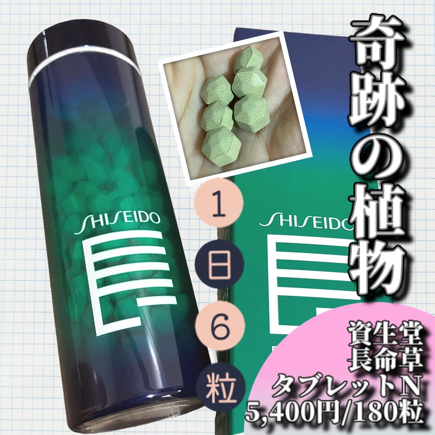 長命草＜タブレット＞ N/長命草/健康サプリメントを使ったクチコミ（1枚目）