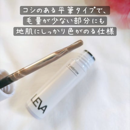 アイブロウ/LEVA/その他アイブロウを使ったクチコミ(3枚目)