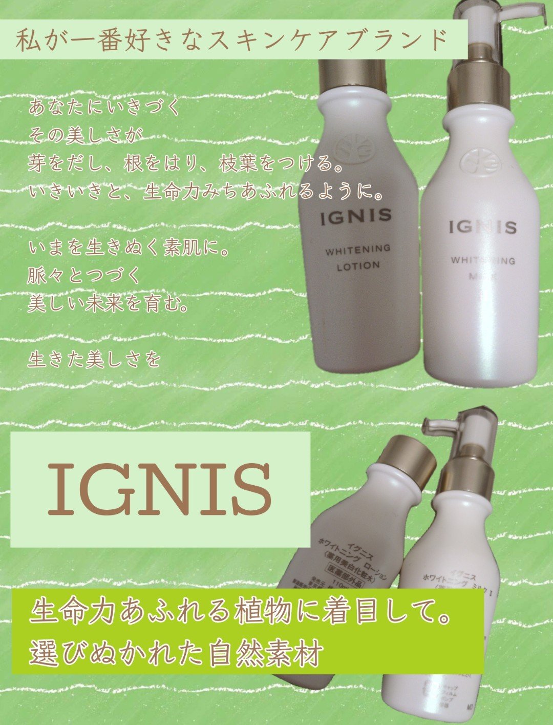 ホワイトニング ミルク II/IGNIS/乳液を使ったクチコミ（1枚目）