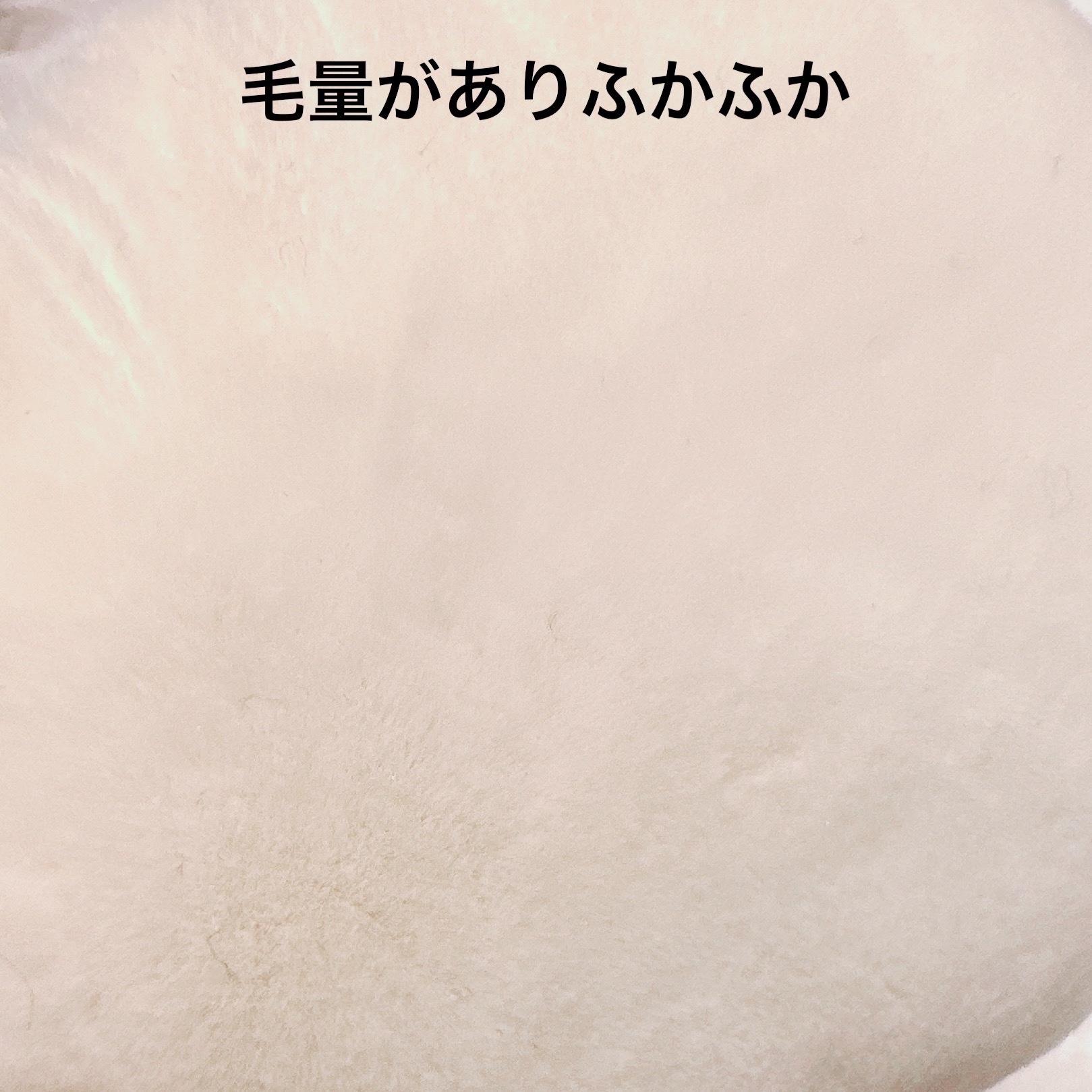 パフ L (パウダー用)/Elégance/パフ・スポンジを使ったクチコミ（3枚目）