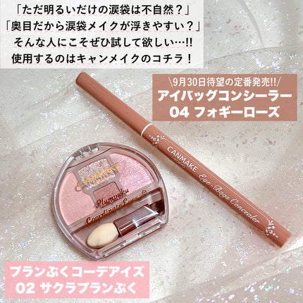 アイバッグコンシーラー/キャンメイク/ペンシルコンシーラーを使ったクチコミ(2枚目)