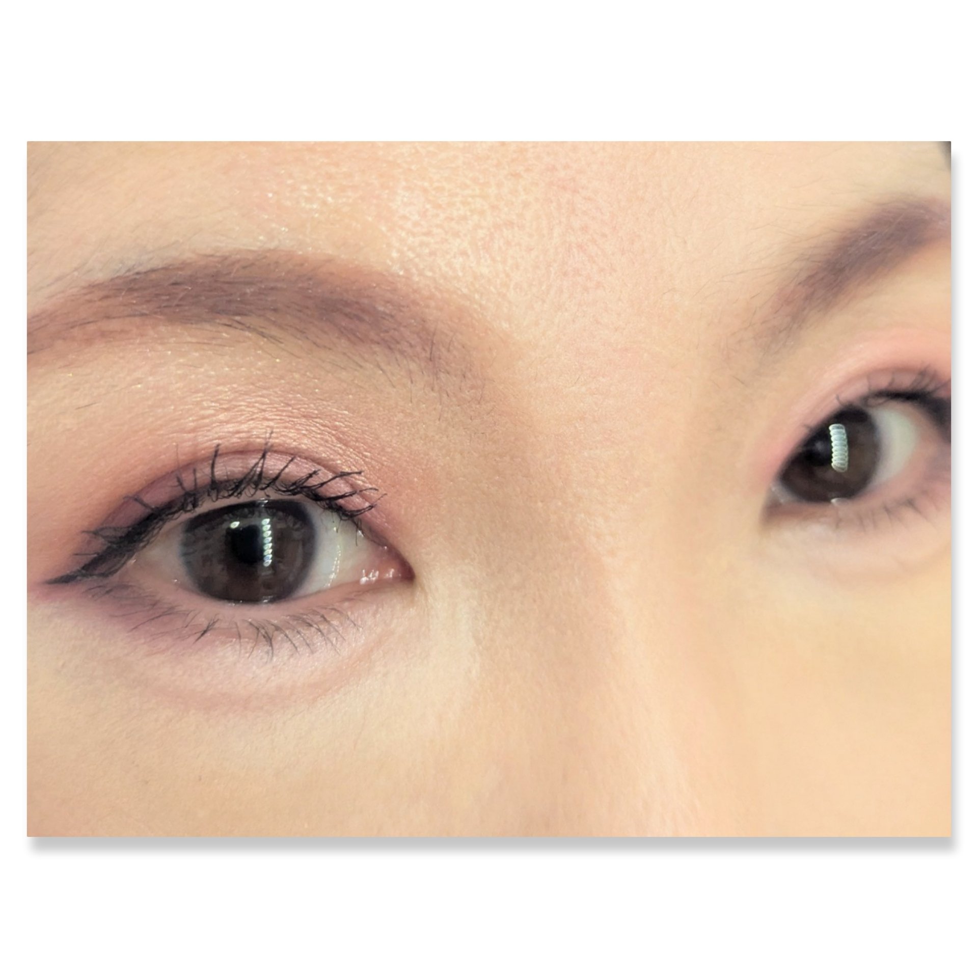 カラーステイ ルックス ブック パレット/REVLON/アイシャドウパレットを使ったクチコミ（2枚目）