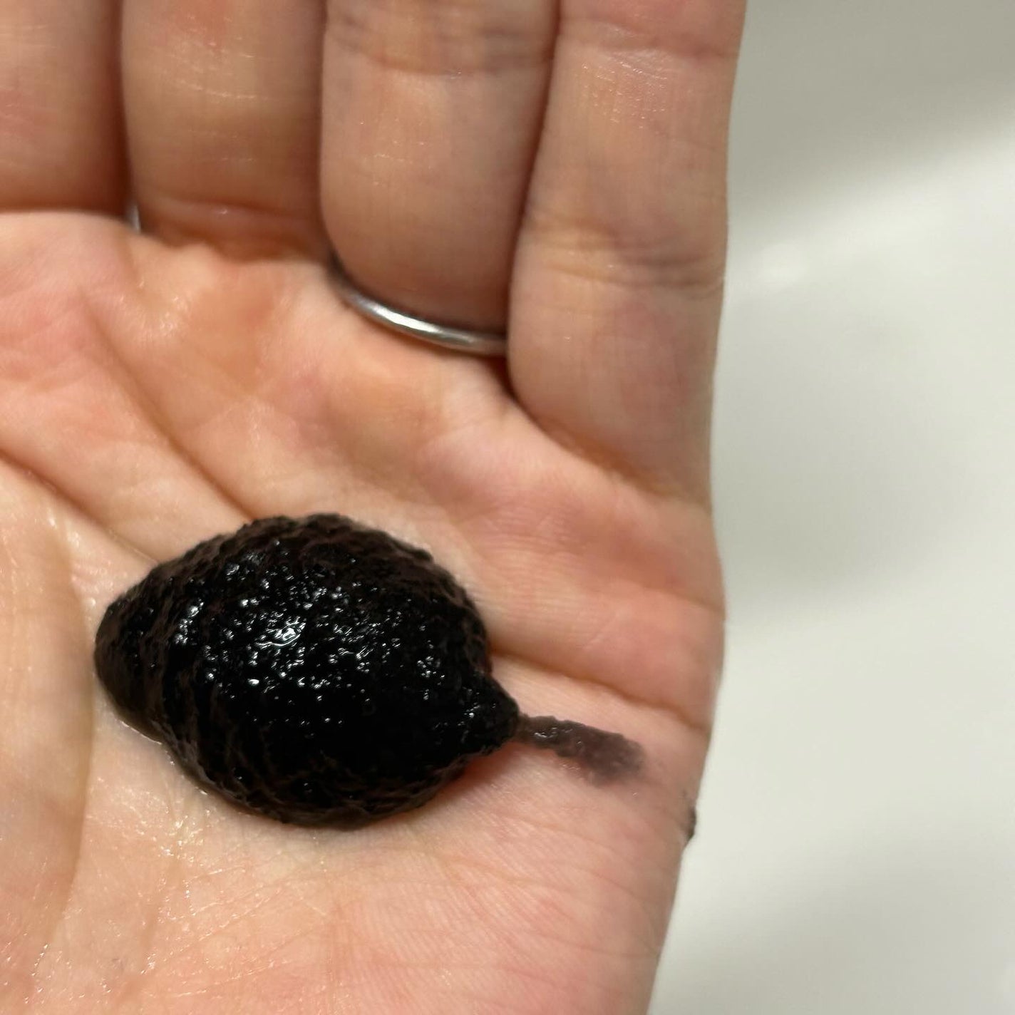 BLACK JELLY WASH(ブラックジェリーウォッシュ)/PLUEST/その他洗顔料を使ったクチコミ(5枚目)
