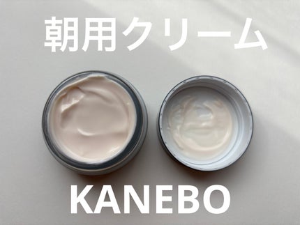 カネボウ クリーム イン デイⅡ【医薬部外品】/KANEBO/フェイスクリームを使ったクチコミ(1枚目)