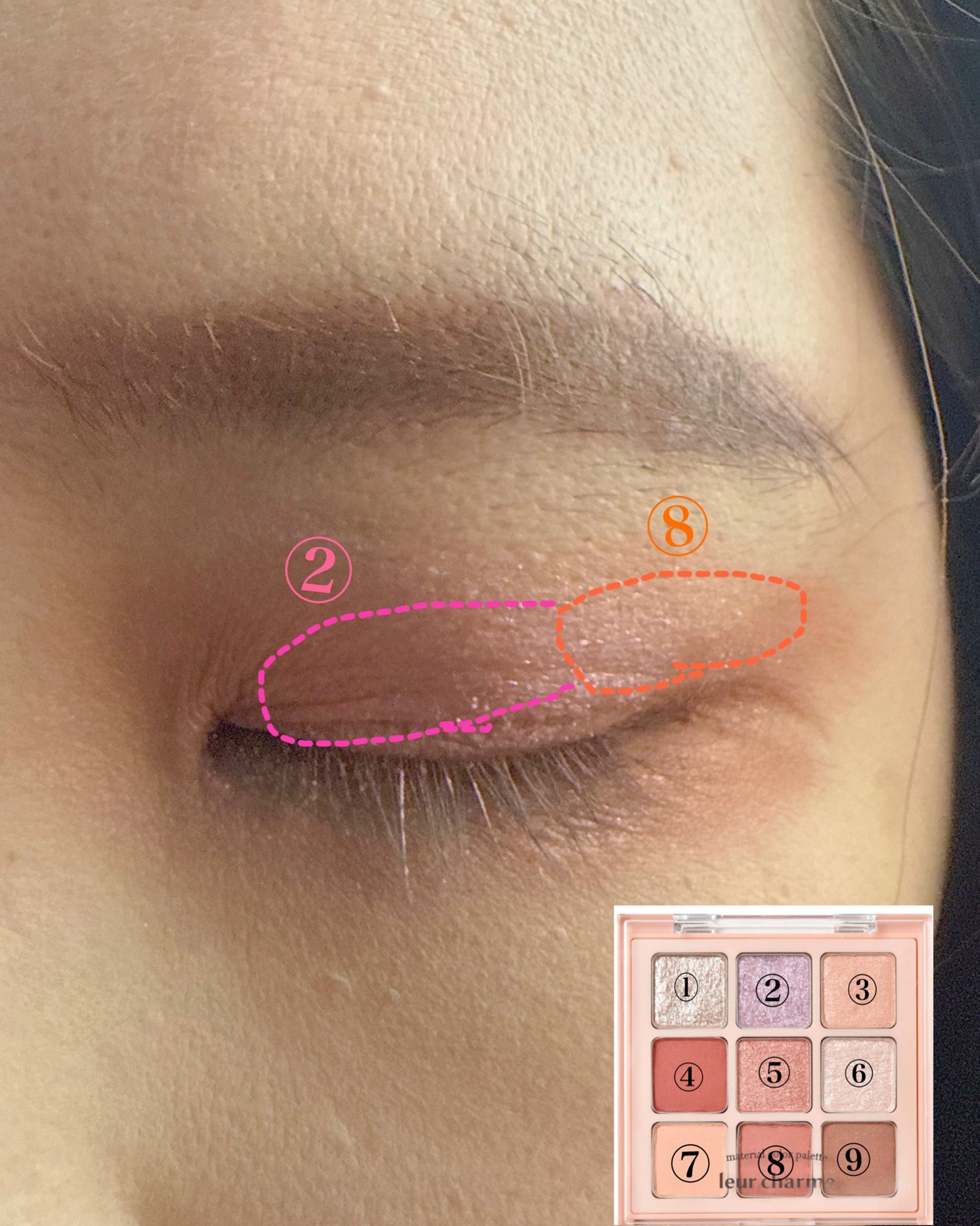 マテリアルカラーパレット/leur charme/アイシャドウパレットを使ったクチコミ(3枚目)