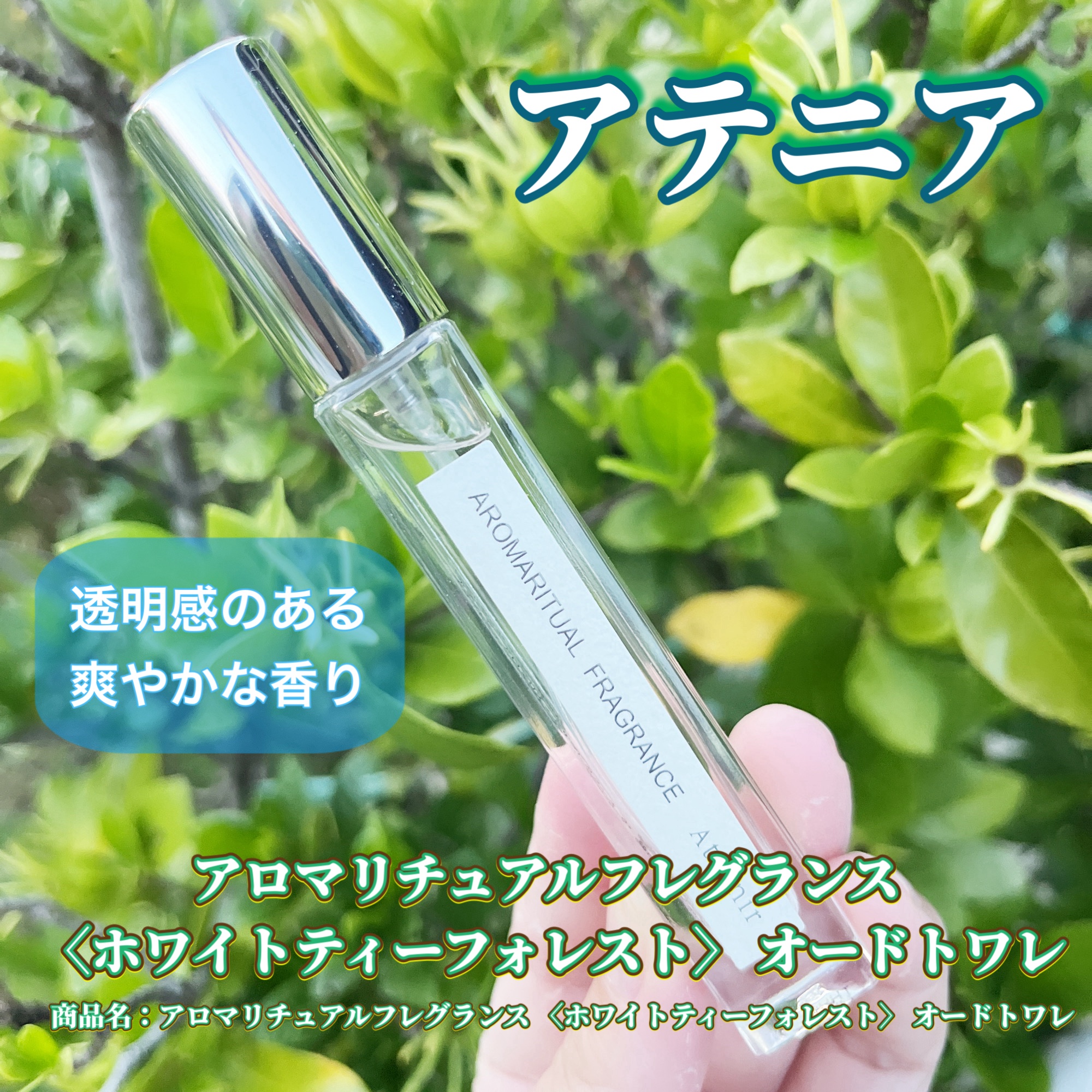 #PR #アテニア

アテニアの商品は特に香りが気に入って好んで使用しています。
そのアテニアからオードトワレが新発売になり、とても期待で胸が膨らみました。

ホワイトティーフォレストの、みずみずしいシトラスと清らかなホワイトティーとホワイ