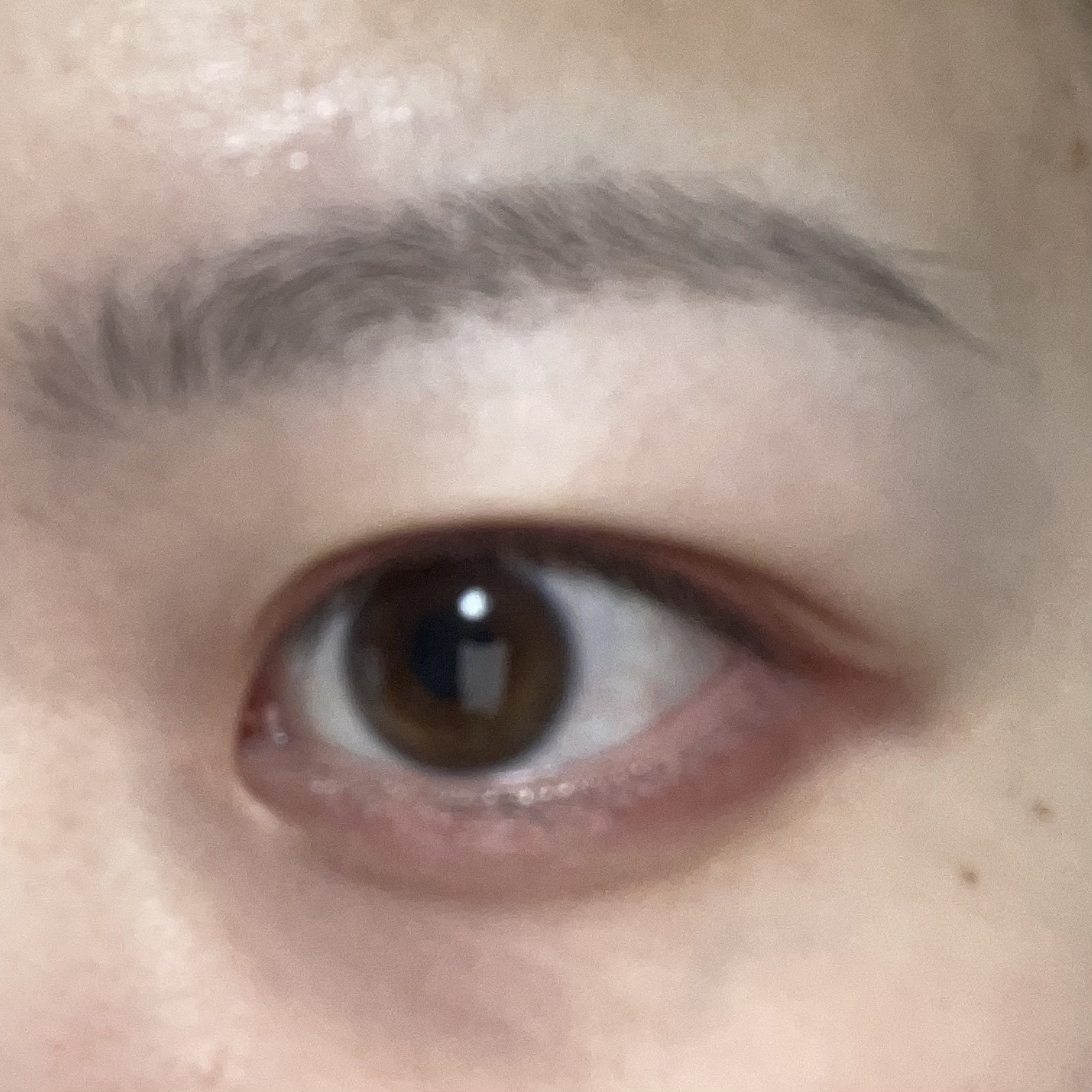 ツイン カラー アイシャドウ/ちふれ/アイシャドウパレットを使ったクチコミ（3枚目）