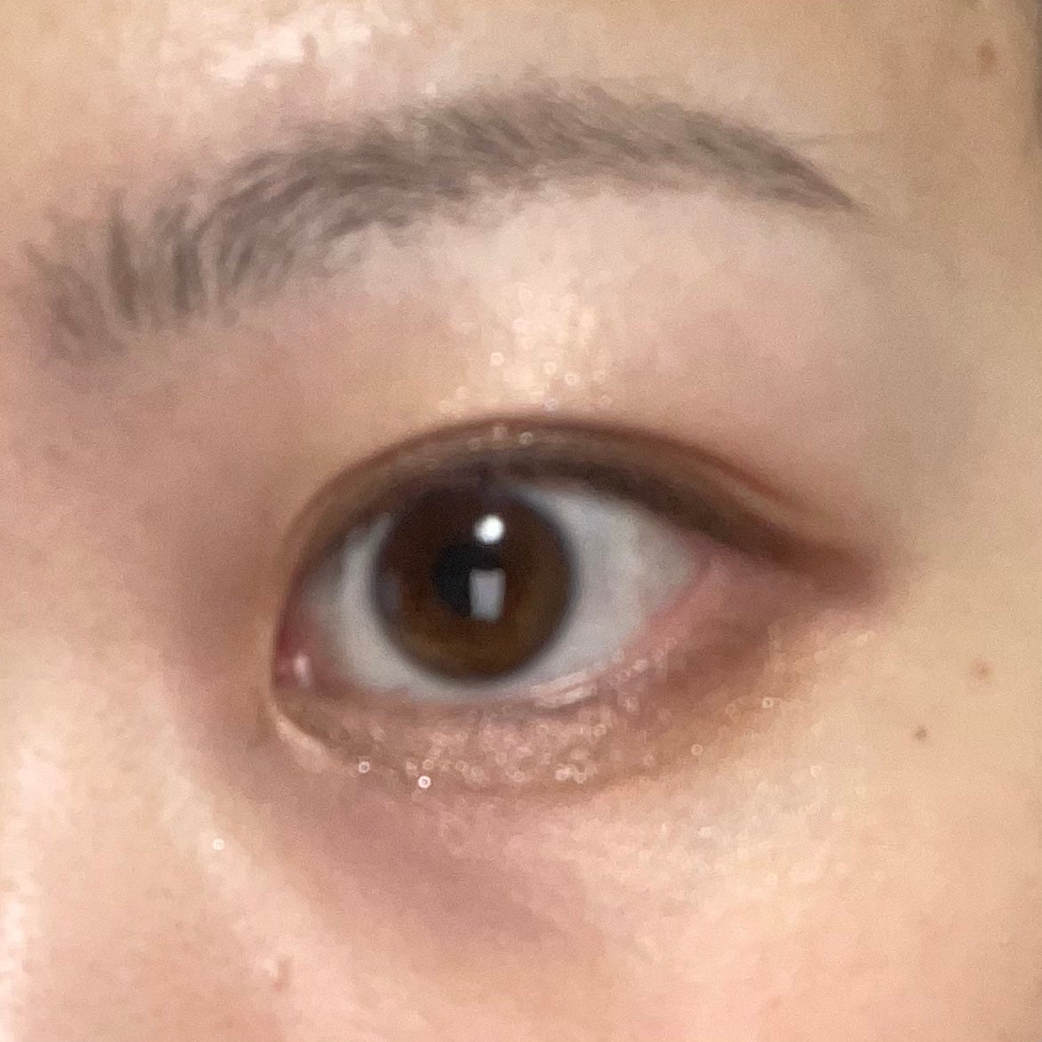 パノラマデザイン アイパレット/Visée/アイシャドウパレットを使ったクチコミ(3枚目)