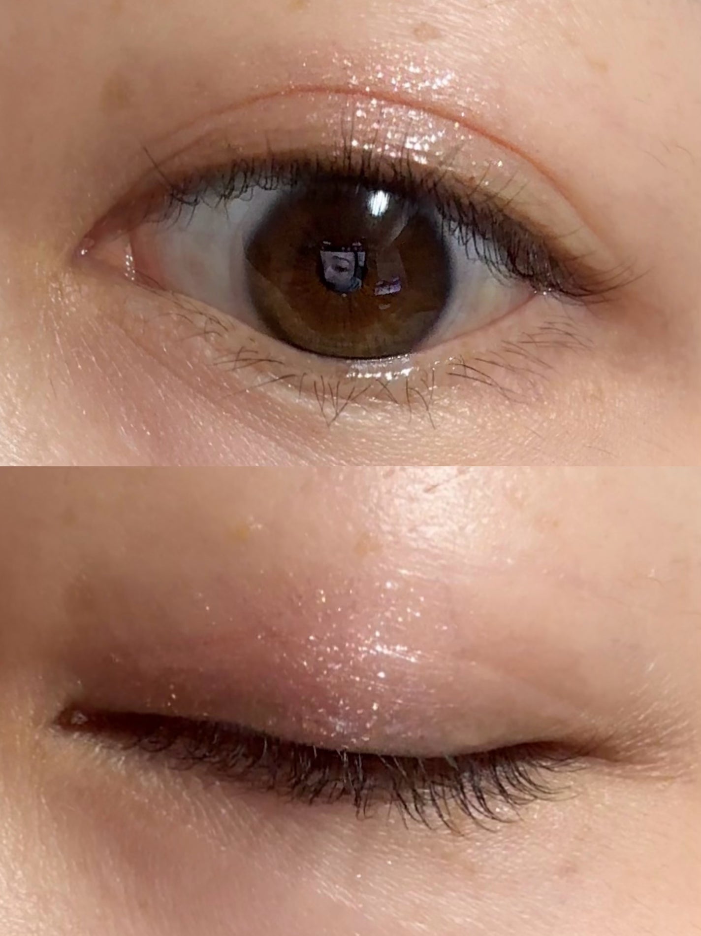 シャドウパレット/dasique/アイシャドウパレットを使ったクチコミ(3枚目)