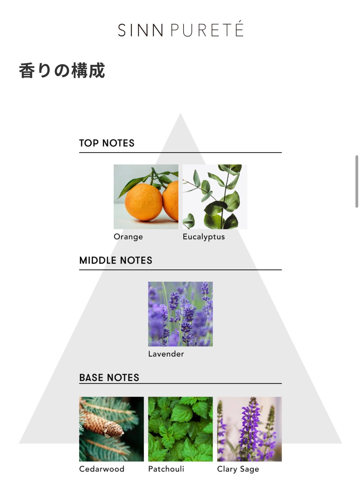 マインドフル フレグランス ノンアルコール ピュリフィケーション・オブ・マインド/SINN PURETÉ/香水(レディース)を使ったクチコミ(5枚目)