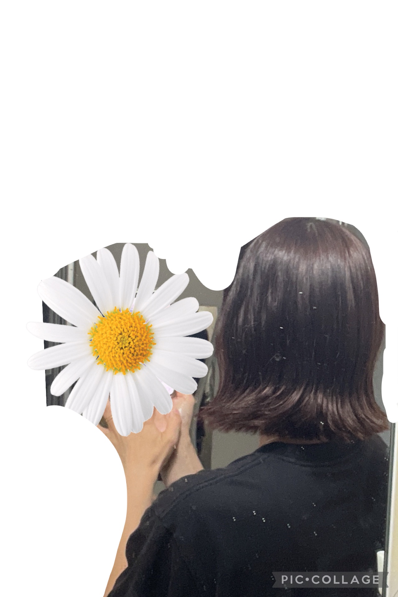 ヘアアクセルレーター レモンライムの香り/加美乃素本舗/頭皮ローションを使ったクチコミ（1枚目）